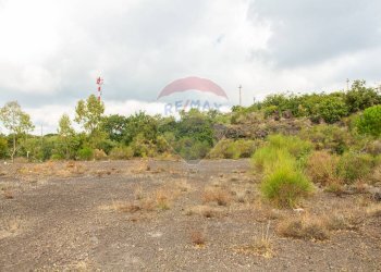 Giardino - Agricultural land Via Campo sportivo
snc, Camporotondo Etneo - photo 16