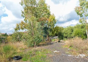 Giardino - Agricultural land Via Campo sportivo
snc, Camporotondo Etneo - photo 24