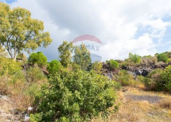 Vista delle montagne - Agricultural land Via Campo sportivo
snc, Camporotondo Etneo - photo 29