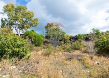 Vista delle montagne - Agricultural land Via Campo sportivo
snc, Camporotondo Etneo - photo 31