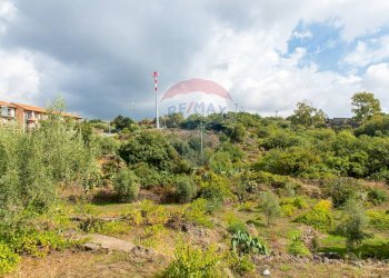 Giardino - Agricultural land Via Campo sportivo
snc, Camporotondo Etneo - photo 33