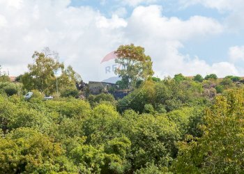 Giardino - Agricultural land Via Campo sportivo
snc, Camporotondo Etneo - photo 36
