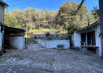 Giardino - Casa indipendente Massarosa - foto 30