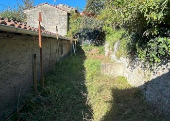 Giardino - Casa indipendente Massarosa - foto 31