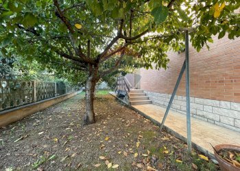 Giardino - Villa Via Occorsio
 
2, Mondolfo - foto 46