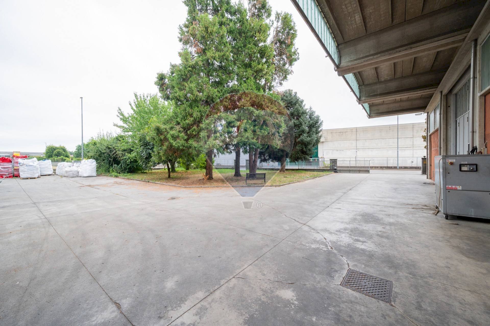 Parcheggio - Capannone Casalmaggiore - foto 3