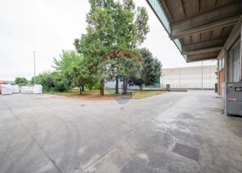 Parcheggio - Capannone Casalmaggiore - foto 3