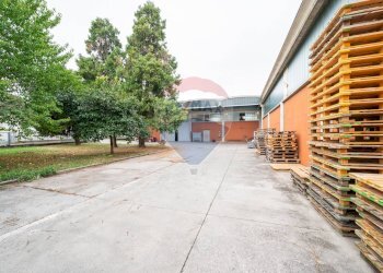 Terrazza - Capannone Casalmaggiore - foto 7