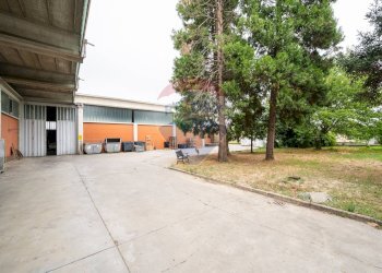 Terrazza - Capannone Casalmaggiore - foto 13