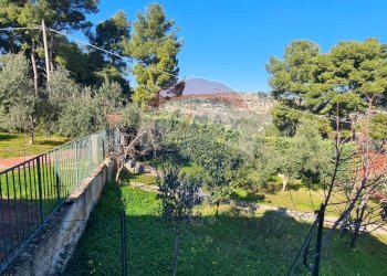 giardino esterno - Villa Località Pilone del Monaco
 
SNC, Vieste - foto 23