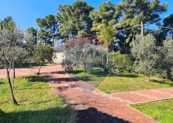 giardino esterno - Villa Località Pilone del Monaco
 
SNC, Vieste - foto 25