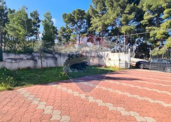 giardino esterno - Villa Località Pilone del Monaco
 
SNC, Vieste - foto 26