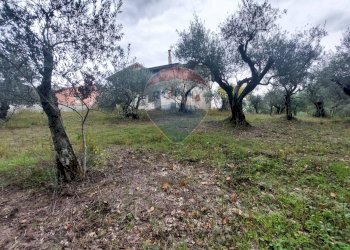 Giardino - Independent house Ceppaloni - photo 3