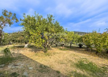 Foto 34 - Appartamento Bordighera - foto 34