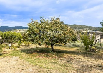 Foto 35 - Appartamento Bordighera - foto 35