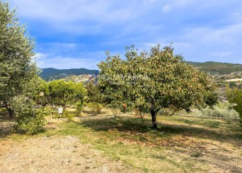 Foto 42 - Appartamento Bordighera - foto 42