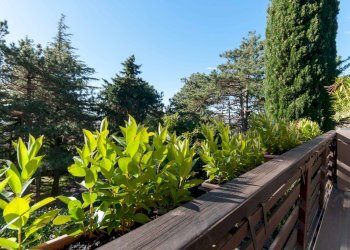 Foto 11 - Villa Via Cantu', Trieste - foto 11