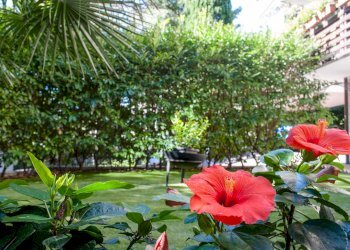 Foto 46 - Villa Via Cantu', Trieste - foto 46