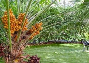 Foto 47 - Villa Via Cantu', Trieste - foto 47