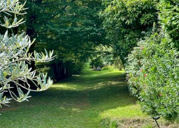 Foto 47 - Villa via della costituzione, Bergamo - foto 47