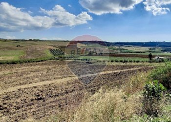 Vista delle montagne - Agricultural land Menfi - photo 1