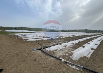 Vista dell\'acqua - Agricultural land Menfi - photo 4