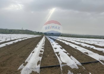 Vista dell\'acqua - Agricultural land Menfi - photo 6