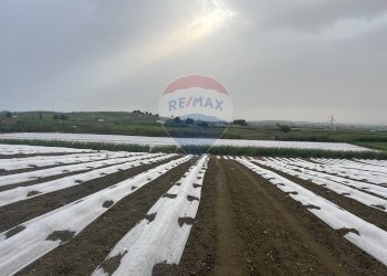 Vista dell\'acqua - Agricultural land Menfi - photo 7