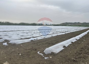 Vista dell\'acqua - Agricultural land Menfi - photo 8