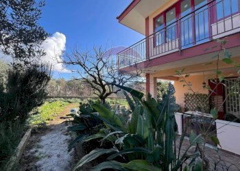 Giardino - Casa semi indipendente via Bellolampo
 
5900, Palermo - foto 1