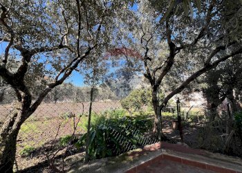 Giardino - Casa semi indipendente via Bellolampo
 
5900, Palermo - foto 13