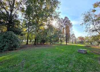 Foto 38 - Casa semi indipendente Medolla - foto 38