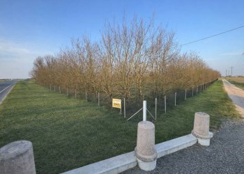 Foto 1 - Villa Mirandola - foto 1