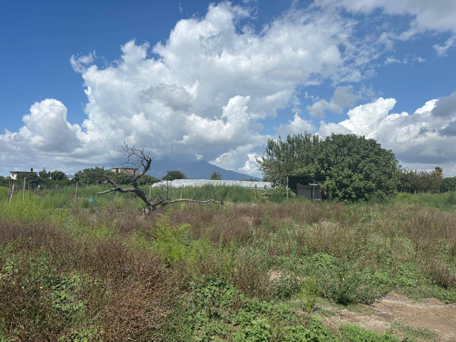 Foto 3 - Terreno edificabile Via Santa Maria
 
64, Angri - foto 3