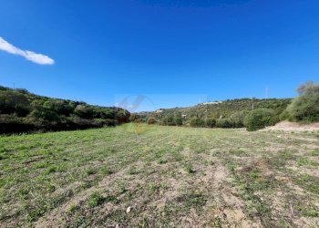 Foto 1 - Agricultural land Monti di Mannu, Sassari - photo 1