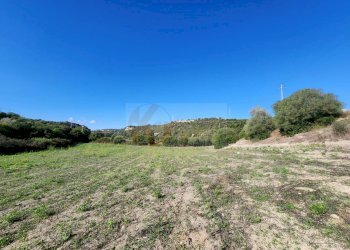 Foto 2 - Agricultural land Monti di Mannu, Sassari - photo 2