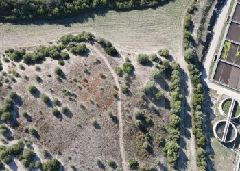 Foto 5 - Agricultural land Monti di Mannu, Sassari - photo 5