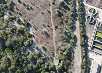 Foto 6 - Agricultural land Monti di Mannu, Sassari - photo 6