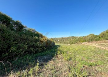 Foto 10 - Agricultural land Monti di Mannu, Sassari - photo 10