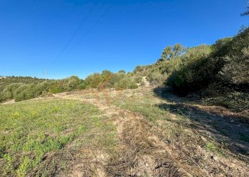 Foto 11 - Agricultural land Monti di Mannu, Sassari - photo 11