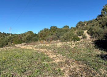 Foto 12 - Agricultural land Monti di Mannu, Sassari - photo 12