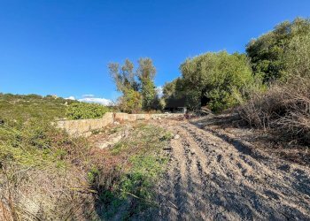 Foto 13 - Agricultural land Monti di Mannu, Sassari - photo 13