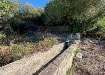 Foto 14 - Agricultural land Monti di Mannu, Sassari - photo 14