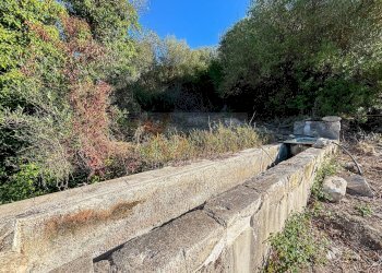 Foto 15 - Agricultural land Monti di Mannu, Sassari - photo 15