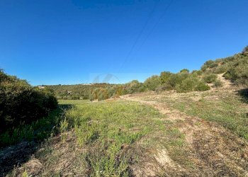 Foto 19 - Agricultural land Monti di Mannu, Sassari - photo 19