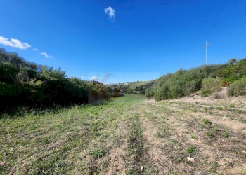 Foto 20 - Agricultural land Monti di Mannu, Sassari - photo 20