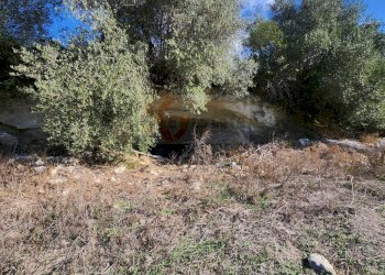 Foto 21 - Agricultural land Monti di Mannu, Sassari - photo 21