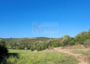 Foto 22 - Agricultural land Monti di Mannu, Sassari - photo 22