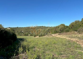 Foto 24 - Agricultural land Monti di Mannu, Sassari - photo 24