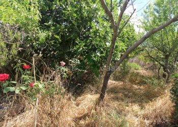 Foto 39 - Appartamento via Scalepicchio
 
24, Teramo - foto 39